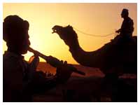 Rajasthan Vacation Tour Operators, Rajasthan Vacation Tour Packages