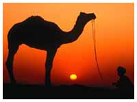 Rajasthan Special Tour Package,Special Rajasthan Tour Package